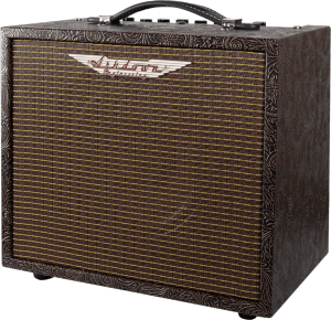 ASHDOWN MAS WOODSMAN-PARLOUR - Ampli guitare acoustique 25 watts